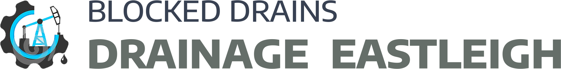 website logo